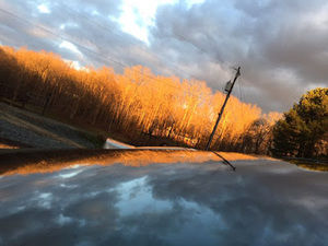 Meet your Posher, Ella